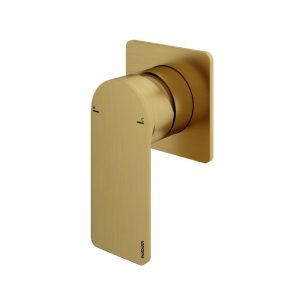 Afbouwdeel - Inbouw douche mengkraan BBP PVD GL031EXTBBP