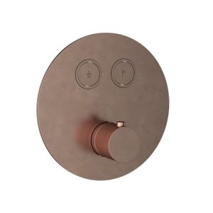 Afbouwdeel - Inbouwthermostaat met 2 pushbuttons BCP PVD