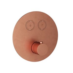 Afbouwdeel - Inbouwthermostaat met 2 pushbuttons BC - Living Colours vormen een Poetsbaar patina