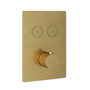 Afbouwdeel - Inbouwthermostaat met 2 pushbuttons BBP PVD