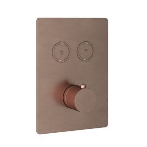 Afbouwdeel - Inbouwthermostaat met 2 pushbuttons BCP PVD