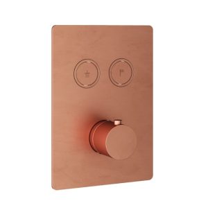 Afbouwdeel - Inbouwthermostaat met 2 pushbuttons BC - Living Colours vormen een Poetsbaar patina