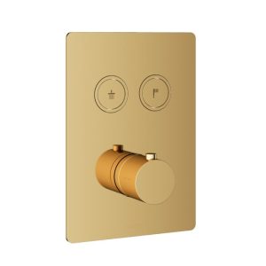 Afbouwdeel - Inbouwthermostaat met 2 pushbuttons NBP PVD