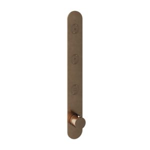 Afbouwdeel - Inbouwthermostaat met 3 pushbuttons verticale plaatsing AB - Living Colours vormen een Poetsbaar patina