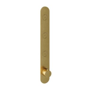Afbouwdeel - Inbouwthermostaat met 3 pushbuttons verticale plaatsing BBP PVD