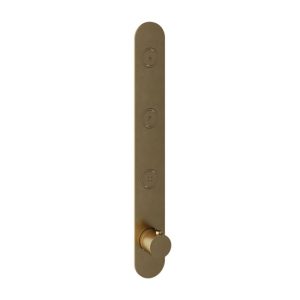 Afbouwdeel - Inbouwthermostaat met 3 pushbuttons verticale plaatsing BB - Living Colours vormen een Poetsbaar patina