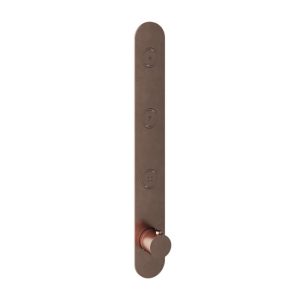 Afbouwdeel - Inbouwthermostaat met 3 pushbuttons verticale plaatsing BCP PVD