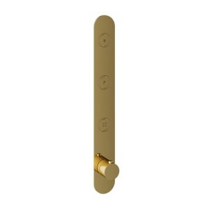 Afbouwdeel - Inbouwthermostaat met 3 pushbuttons verticale plaatsing NBP PVD