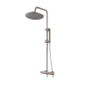 Caral thermostatische regendoucheset opbouw geborsteld staal